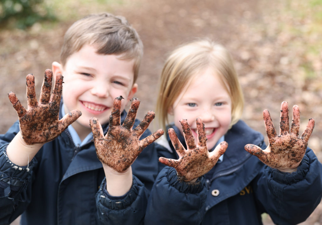 Muddy landscape